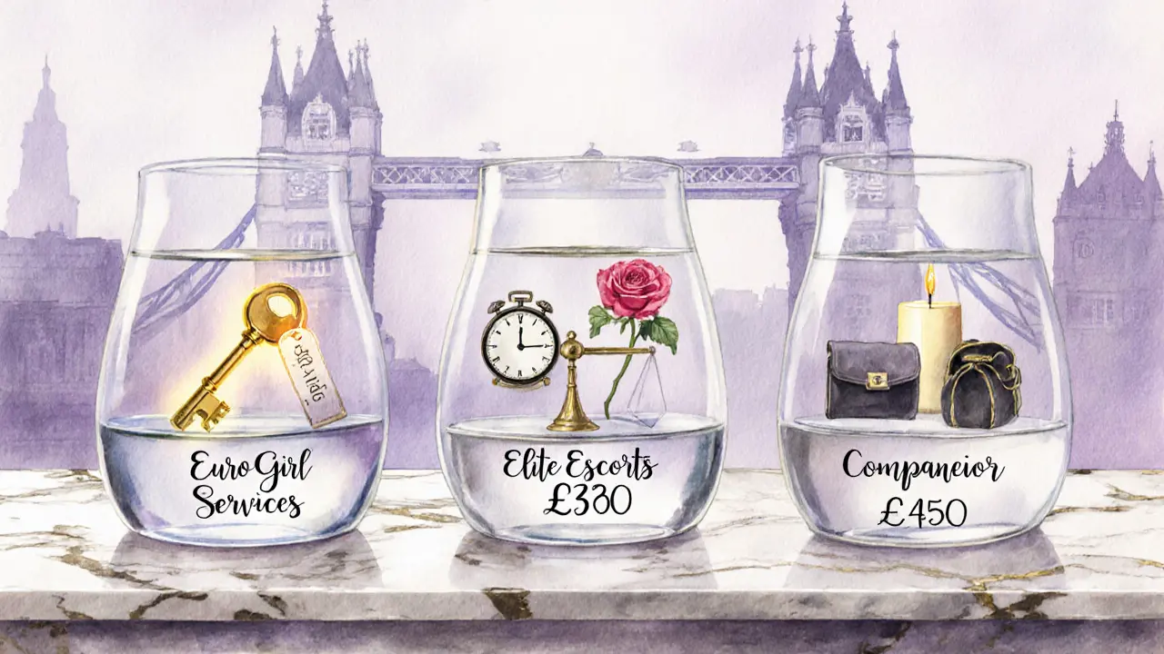 Watercolor comparison of three agencies using symbolic items in labeled vases.